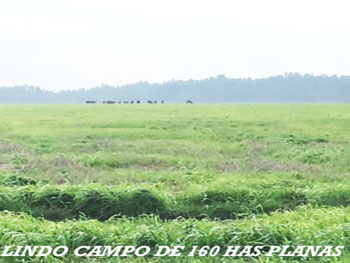 87fc099e83c189d3acfd2cb74aeabb51