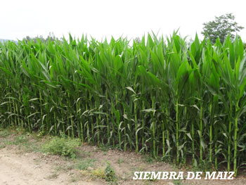 2b8588fd4e31d74931c98c18700762b2