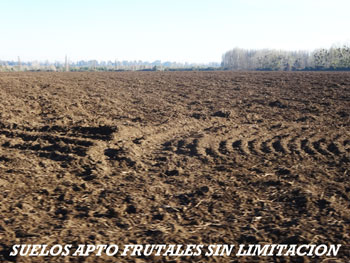 b7b58d8edc7f091640072187ab233174