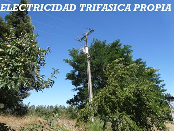 ccbcda241bc319a3ff12b29e13919834