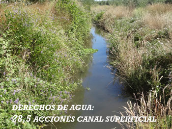 eba8c766dac0bf92c2ce2c78e76c10d9