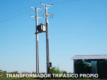 caf8503ae08899ac20044e0074359528